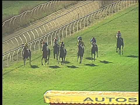 Galoppo 29/11/2017 - 5ª corsa