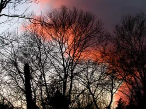 Click to Watch the Faithlessness Breeds a Guilty Conscience video