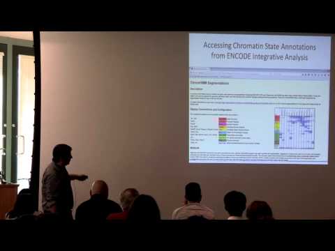Tutorial on Using ChromHMM Software and Existing Annotations