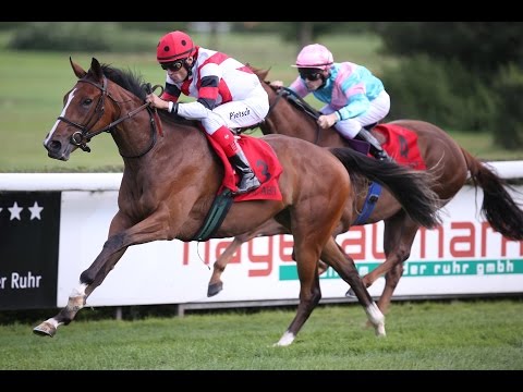 Mülheim: Preis von Engel & Völkers Commercial Essen (D) - Siegerin: Nymeria