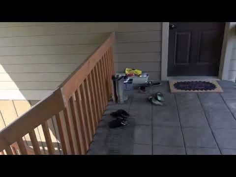 Denny - College Way 4 units - Video 2 of 2