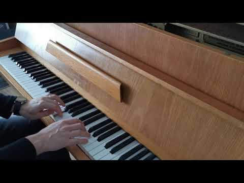 Zdivočelá Země / Marta Kubišová / piano cover Peter Pavličko