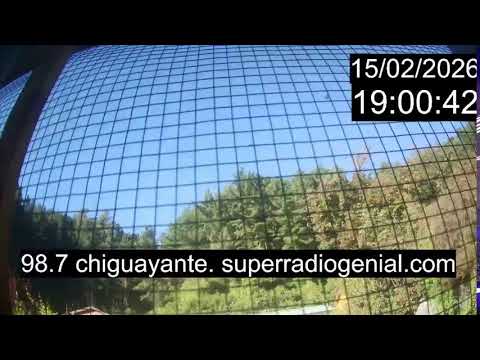Chiguayante Bio Bio Chile, en Vivo. Live Cam, Camara en vivo.