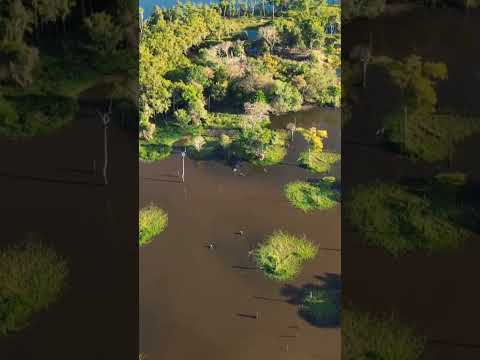 #dronebrasil #ponteselacerda #drone #matogrosso #dji #vilabeladasantíssimatrinda