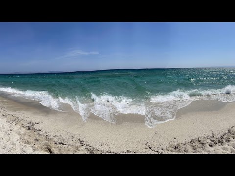 DERIL - ŠARKAN 2 (OFFICIAL VIDEO)