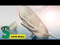 ABC Whale Shark Dolphin Adventure Song For Kids Fun Sea Animal Song For Children Abcd Kids