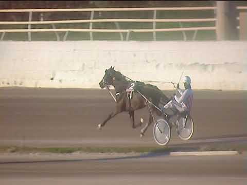 Trotto 15/01/2019 - 2ª corsa