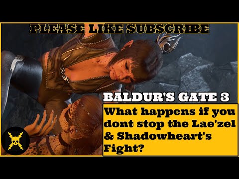 Baldur's Gate 3: What happens if you dont stop the Lae'zel & Shadowheart's Fight?