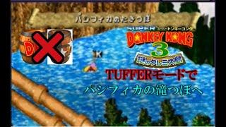 鬼畜縛りでGBA版105%目指す【TUFFERモード】【スーパードンキーコング３】後編