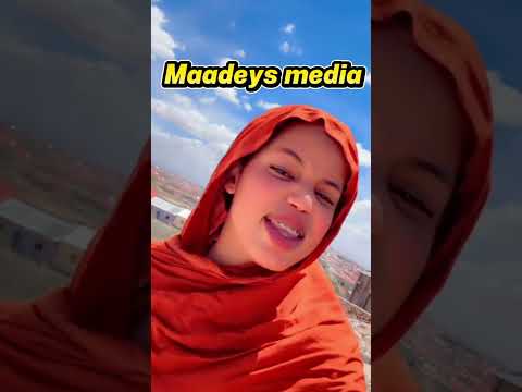 wlhi qof an ku daneyney ha ku daalin qofanan ku daney haku daalin#song#shorts#viral 2026
