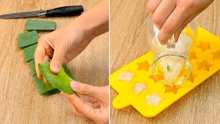 Come conservare il gel di aloe vera: 3 metodi per conservarlo fresco a lungo