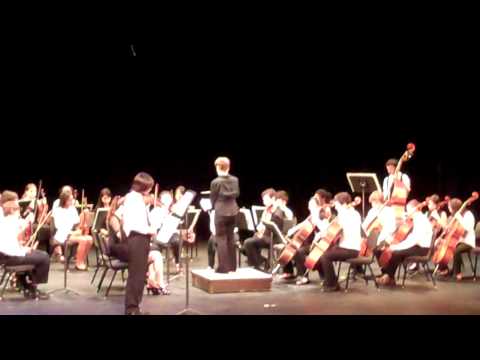 Haydn Concerto for Violin in G - 1st Movement