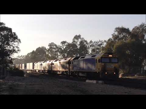 7901V freight train to Mildura at Bealiba Sat 2 August 2025