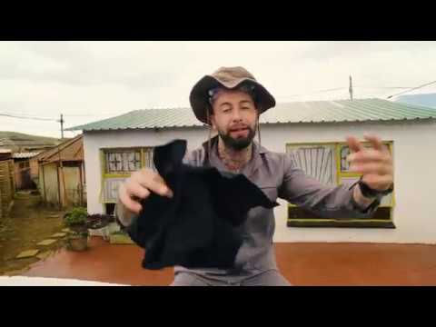 Chad Da Don - Korobela ft. BonafideBilli