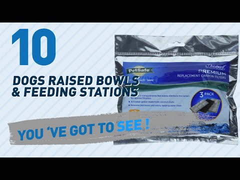Top 10 Dogs Raised Bowls & Feeding Stations Products // Pets Lover Channel