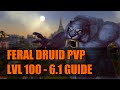 WoD 6.2 Feral Druid PvP Guide: Talents/Glyphs ...