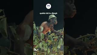 Download lagu Ya Allah, limpahkan Rejeki untuk Kita Semua | Tulis Amin #fypシ゚viral #katakatabijak #gusiqdam mp3