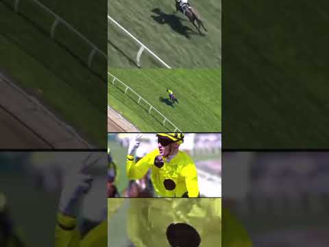 The 2023 Lexus Melbourne Cup split screen