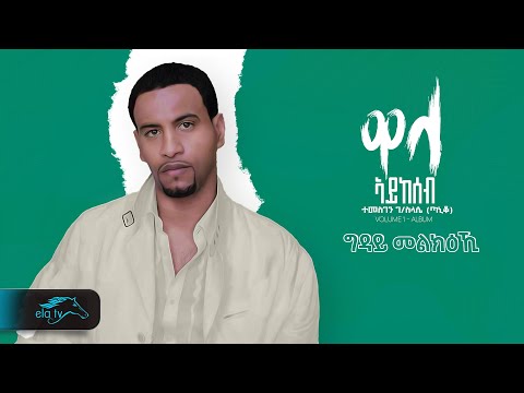 Temesgen Gebreselassie  - Taniqo - Gday Melikiki - ግዳይ መልክዕኪ - Eritrean Music - ( Official Audio )