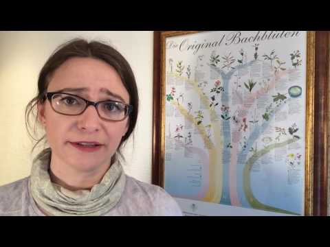 Bachblüte 2 Aspen - Schutzschild bei unerklärlichen Ängsten #bachblüten #parkapotheke