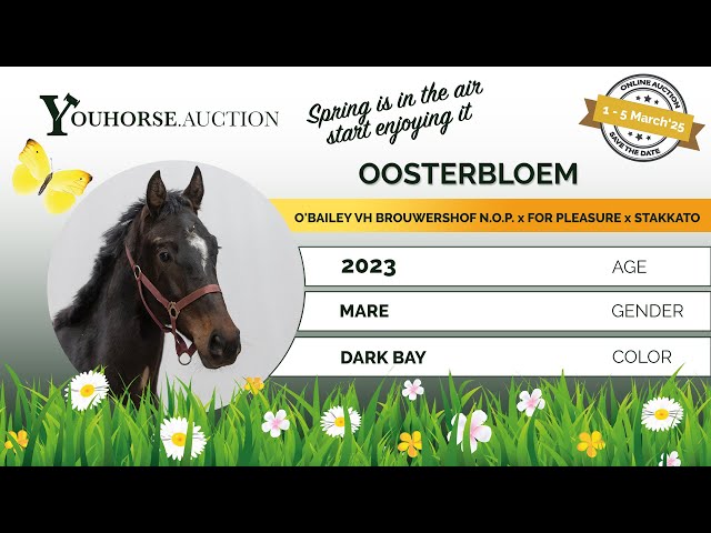 Oosterbloem