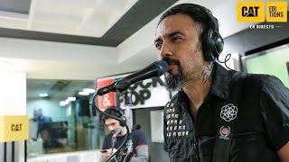 #RPCatEditions: Lucybell