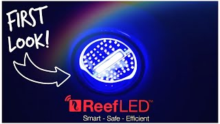 Red Sea ReefLED Aquarium lights - First Look!