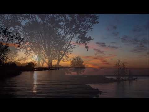 Dapa Deep feat. Kristina - Wicked Filmed by Ken Smith