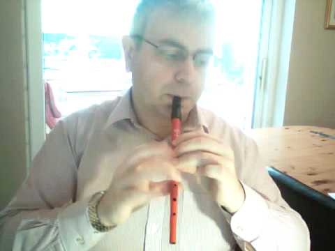 Demo of my converted E tin whistle
