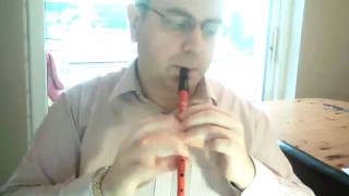 Demo of my converted E tin whistle