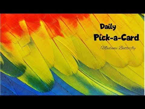 🎴🔮🌈🧁Daily Pick-a-Card Reading~ Thursday 7th September 2023 (Timeless)