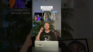 Did Anyone Else Notice How Similar Shaggy “Angel” Was To This 80s Rock Song? #shorts #shaggy #angel