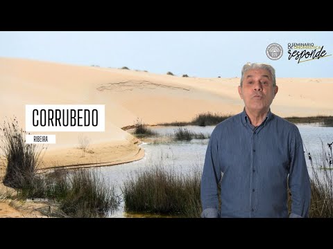 Vídeo: Corrubedo