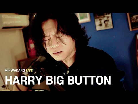 해리빅버튼 HARRY BIG BUTTON  / Drifter [MIHWADANG LIVE]