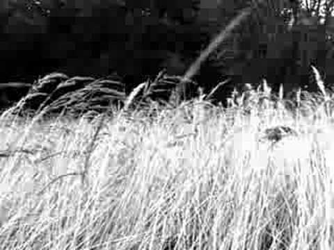 MOR Kick Off/Kniet nieder