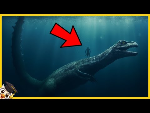 20 Mysterious Sea Creatures Caught on Camera