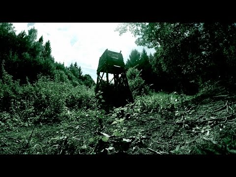 Das Unbekannte Blaue Tier im Harzer Wald