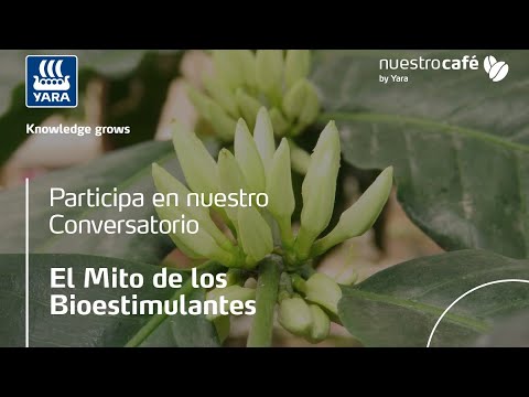 , title : 'El Mito de los Bioestimulantes'