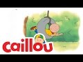 Caillou Caillou S Horn S03E11 Videos For Kids