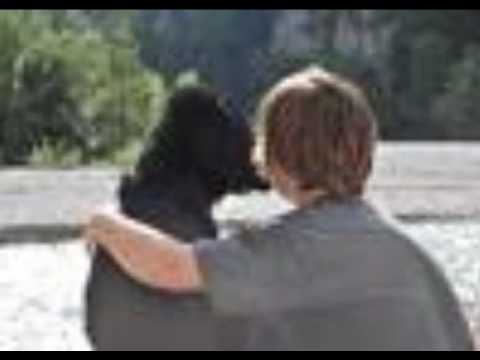 BELE VRANE -sreca na vrvici