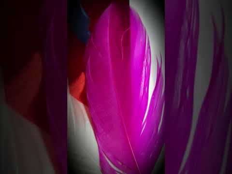 Si dolce e'l tormento C. MONTEVERDI - Tenore MAURIZIO GUERRA