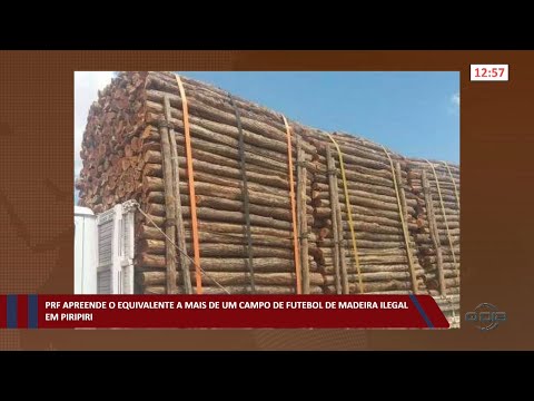 PRF apreende o equivalente a mais de um campo de futebol de madeira ilegal em Piripiri 06 09 2022