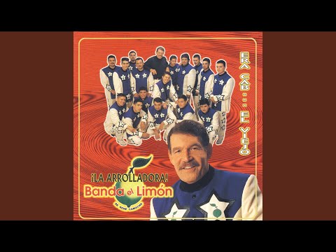 Mi Gusto Es - La Arrolladora Banda El Limon De Rene Camacho
