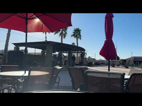 Music by the pool