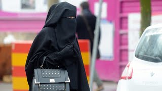 🚨EUROPEUS REAGEM A LEI DAS BURCAS PORTUGUESA!! 💥