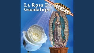Mañanitas Guadalupanas