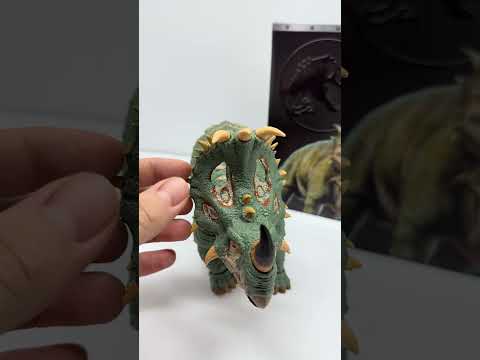 User submitted video