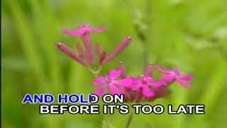 BEFORE IT'S TOO LATE - KARAOKE - MINUS ONE - Arman KTV