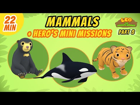 Mammals (Part 8/8) - Junior Rangers and Hero's Animals Adventure | Leo the Wildlife Ranger