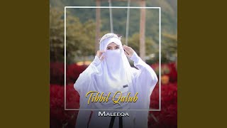 Download lagu DJ Sholawat Tibbil Qulub (Remix) mp3